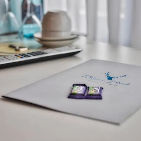 ゲストハウス Golfhotel Wagenfeld